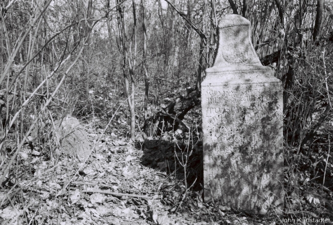 9i.Tatar Cemetery, Zabalots'tsje (Karelichy District) 2018, 2018086_19