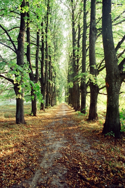 Allee-Former-Valovich-Estate-Zavishyna-2001-2001232-30