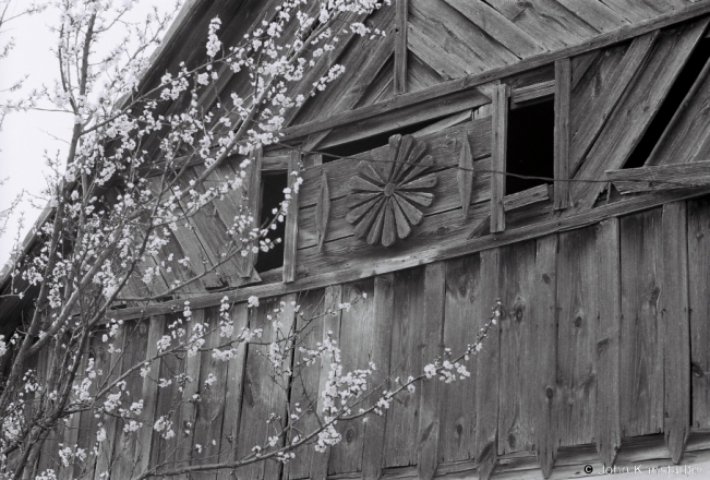 Apricot Blossoms and Gable, Azdamichy 2018, 2018079_0A