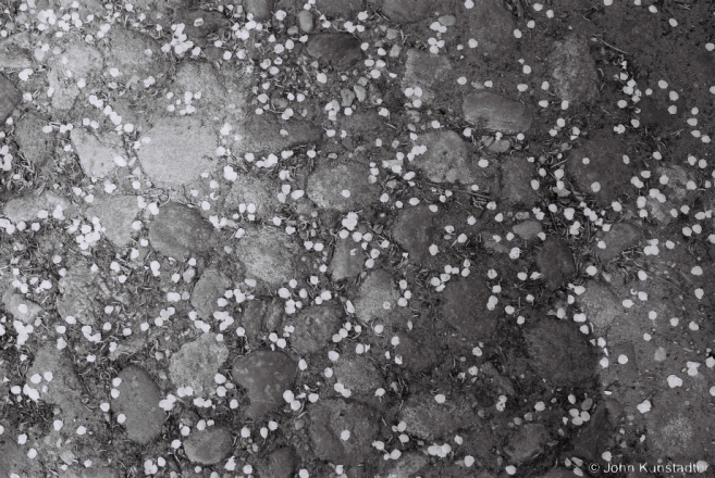 Cherry-Blossom Petals on Cobblestones ("Razinki"), Marozavichy 2013, 2013139-32A