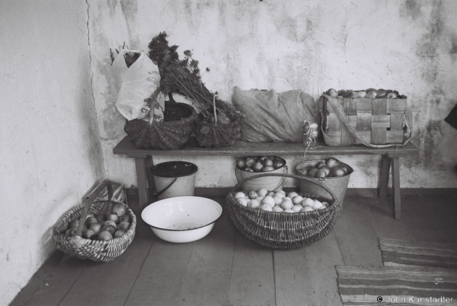 Cornucopia for the City, Tsjerablichy 2012, F1020014(2012319a-13
