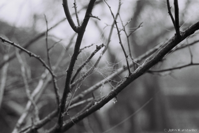 October Fog, Tsjerablichy 2014, F1140006(2014373-