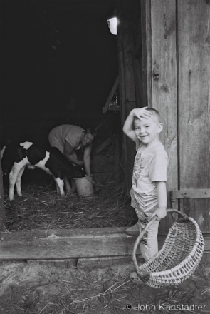 Mats'vjej and the Calf, Tsjerablichy 2014, F1150012(2014184-