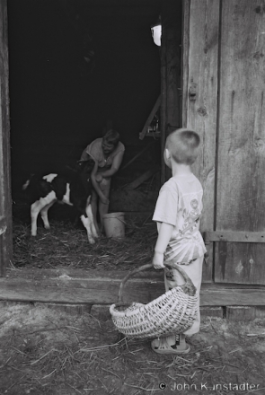 Mats'vjej and the Calf, Tsjerablichy 2014, F1150014(2014184-