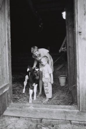Mats'vjej and the Calf, Tsjerablichy 2014, F1150019(2014184-