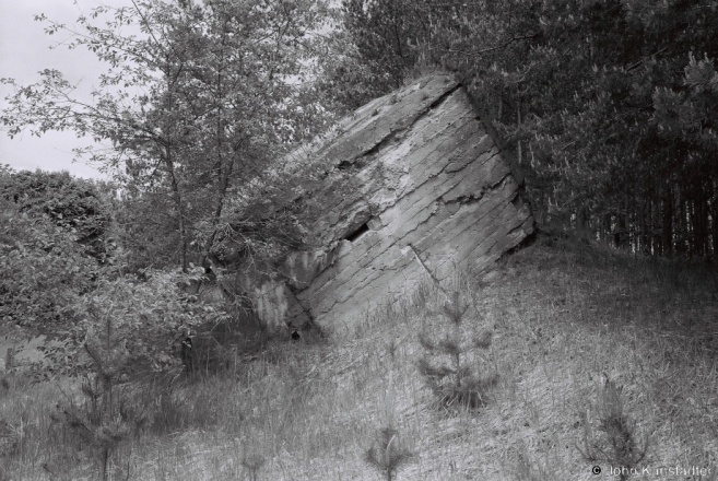 German WWI Bunker, Suts'kava 2017, 2017131- (F1040005