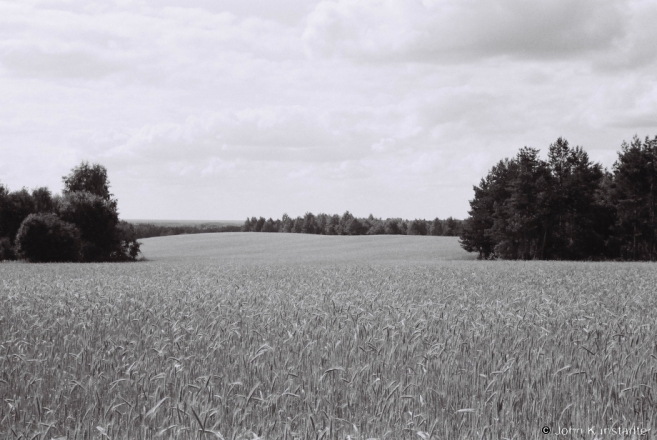 Grain Fields near Chasnaki 2013, 2013229b-34A