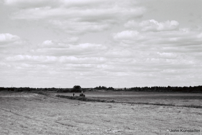 Haying-Surkanty-Surkonty-2014-2014246-02
