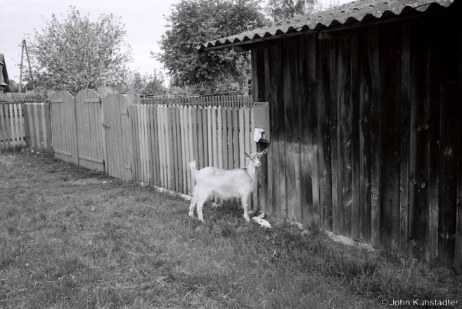 Hungry for the News, Panjamon' 2015, F1080031(2015154b-