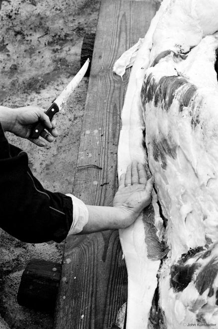 Measuring-the-Lard-Hog-Butchering-Tsjerablichy-2011-2011008-25A