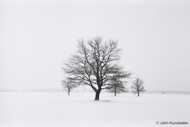 Oak-Grove-Fjadory-2013-2013014-26