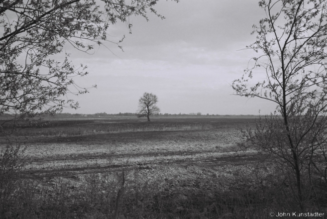 Oak Tree near Machul' 2014, F1040012(2014093-