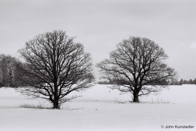 Oaks-Dzjaniski-2010-2010002-11