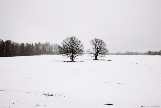 Oaks, Dzjaniski 2016, 2016049b-11A(2)