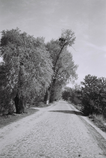 Old-Stone-Road-Sjamihostsichy-2014-2014132-21A