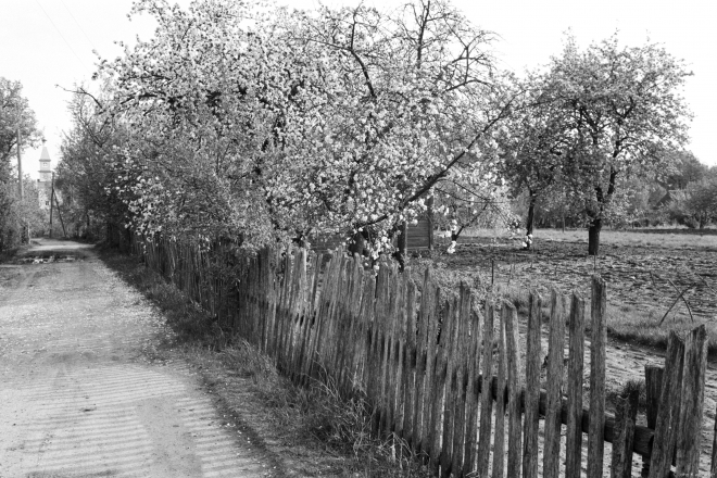 On-the-Way-to-Church-for-the-Patronal-Feast-of-the-Resurrection-Tsjerablichy-2019-2019044c-332