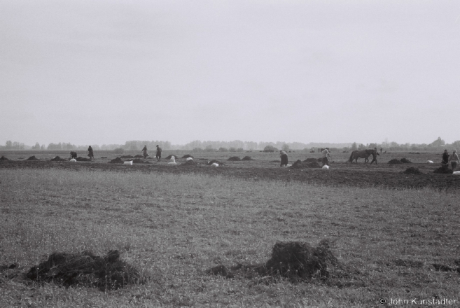Planting Potatoes, Tsjerablichy 2013, 2013085c-33A