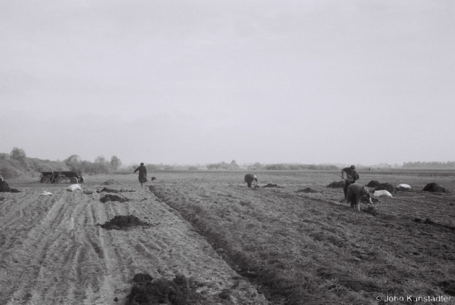 Planting Potatoes, Tsjerablichy 2013, 2013085c-35A