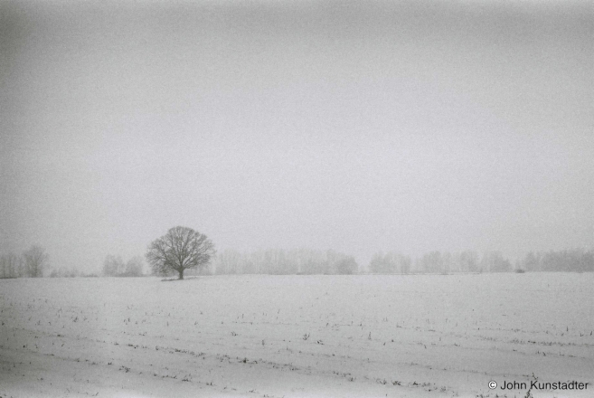 Polesian-Oak-Tsjerablichy-Machul-Road-2012-2015015-26A