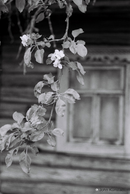 Polesian-Spring-Tsjerablichy-2014-2014151-31A