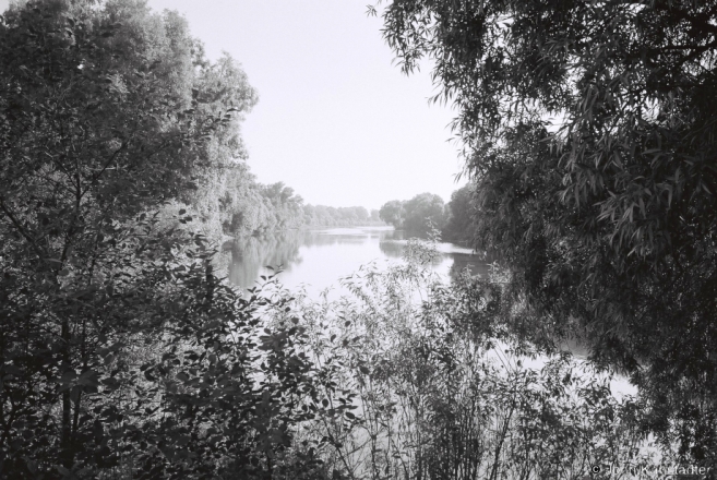 River Haryn', Davyd-Haradok 2015, F1190029(2015197a-