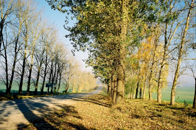 Road-to-Khamichy-Dzjarzhynck-District-2018-2018279b-27A2