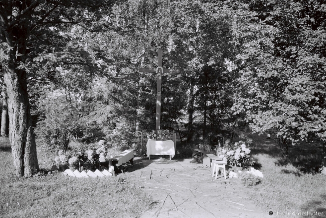 Roadside Shrine Decorated for Pentecost, Papshychy 2014, 2014208b-25A