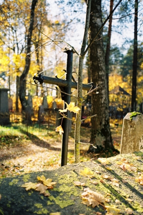 Roman-Catholic-Cemetery-Rakau-2018-2018269e-35A