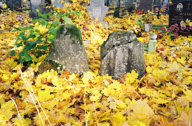 Roman-Catholic-Cemetery-Rakau-2018-2018279a-2A