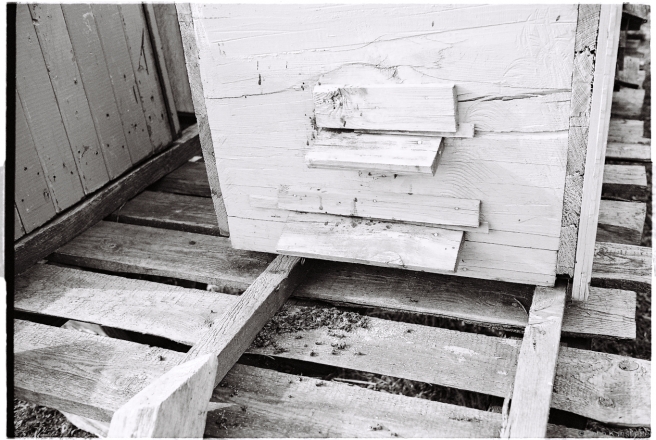 Self-Cleaning of Hives, Tsjerablichy 2016, 2016086- (2) (000062