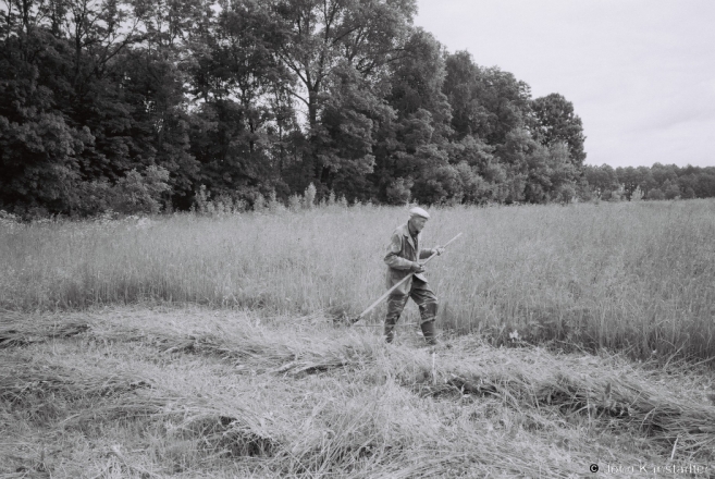 Scything, Shnipava 2017, 2017168- (F1170027