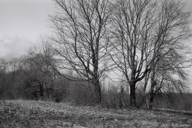 Site of Former Farmstead, nr. Khodasy 2017, 2017091-10 (F1160011