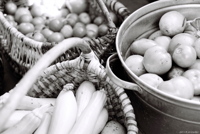 Summer Squash and Tomatoes, Tsjerablichy 2015, 2015272-2A(000002