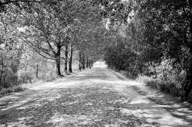 Tsjerablichy-Machul' Road 2007, 2007354-10