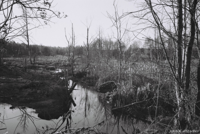 Ethnotoponyms X, Tsyhan' 2014, Swamp, F1150012(2014109a-