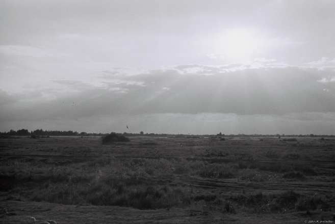 West from Tsjerablichy 2014, F1100016(2014311a-