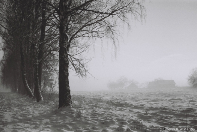 Winter Fog, Babounja 2012, 2012009-9A