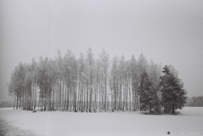 Winter Landscape, Mjensk Region 2013, 2013005a-3A