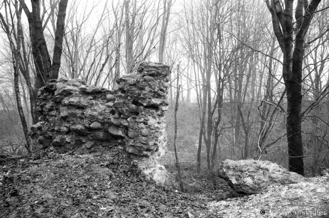Winter Landscape, Ruins of Gashtol'd Family Castle, Hjeranjony 2008, 2008030-9A