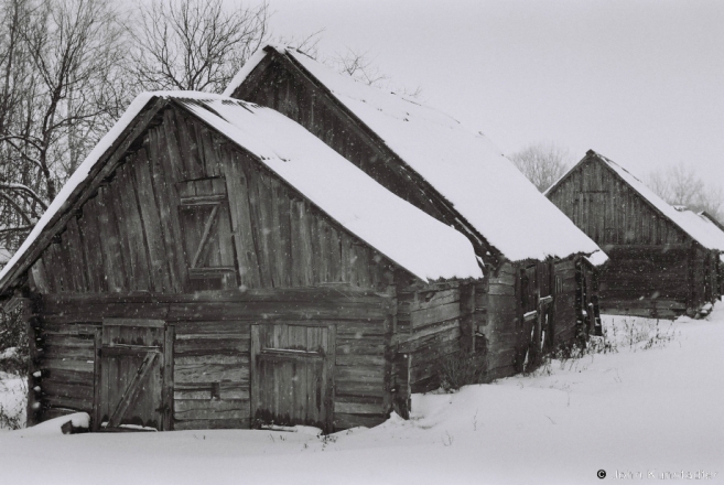Winter in Polesia, Ljubavichy 2012, 2012015-33A