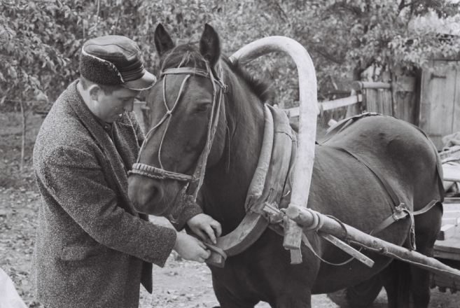 a-man-and-his-horse-tsjerablichy-2010
