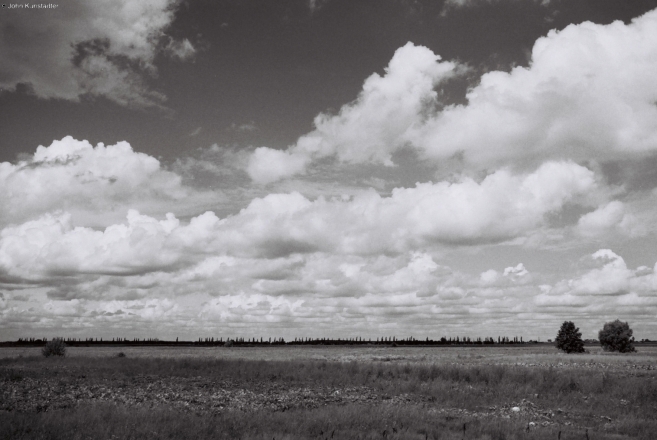 alshany-2010_0