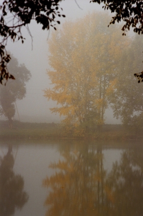 autumn-fog-karelichy-2000-2000161-16