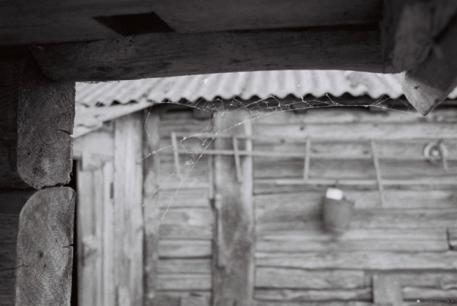 autumn-tsjerablichy-2010