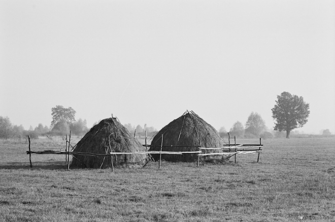azdamichy-2006_0
