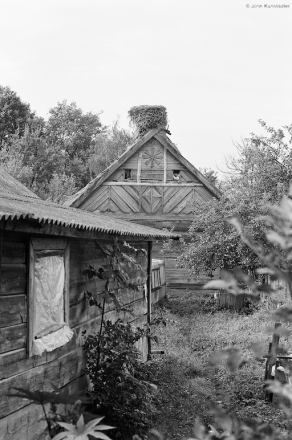 azdamichy-20076