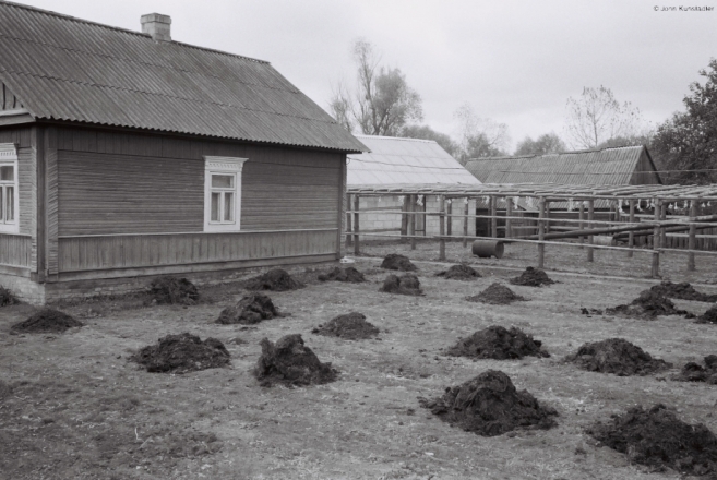 azdamichy-20104_0