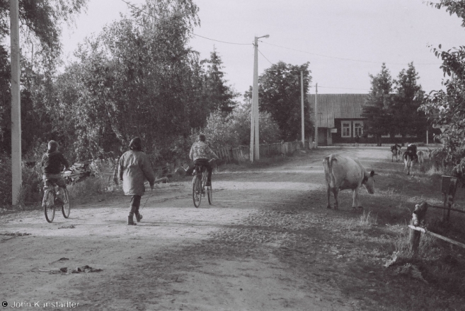 bringing-the-cows-home-tsjerablichy-2012-2012149-f1120036