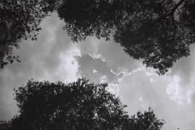 cloud-reflections-rubjazhevichy-2013-f11400242013140a