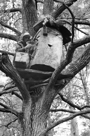 collecting-honey-azdamichy-2006-2006316-29